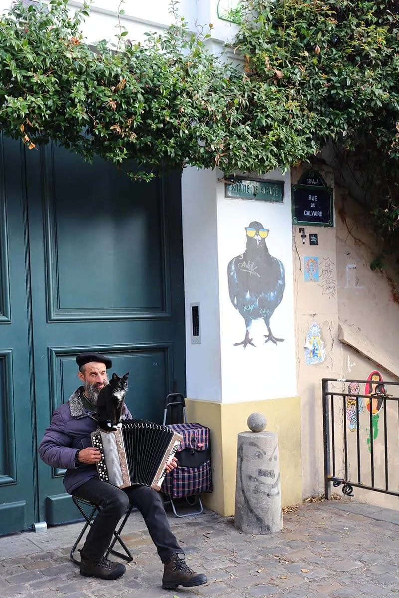 Montmartre street musician playing accordion with his cat sitting on top