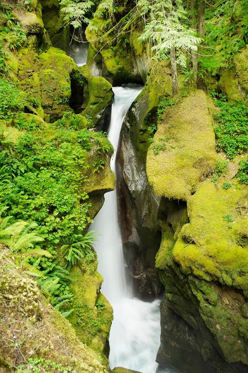 Ladder Creek Falls in North Cascades National Park