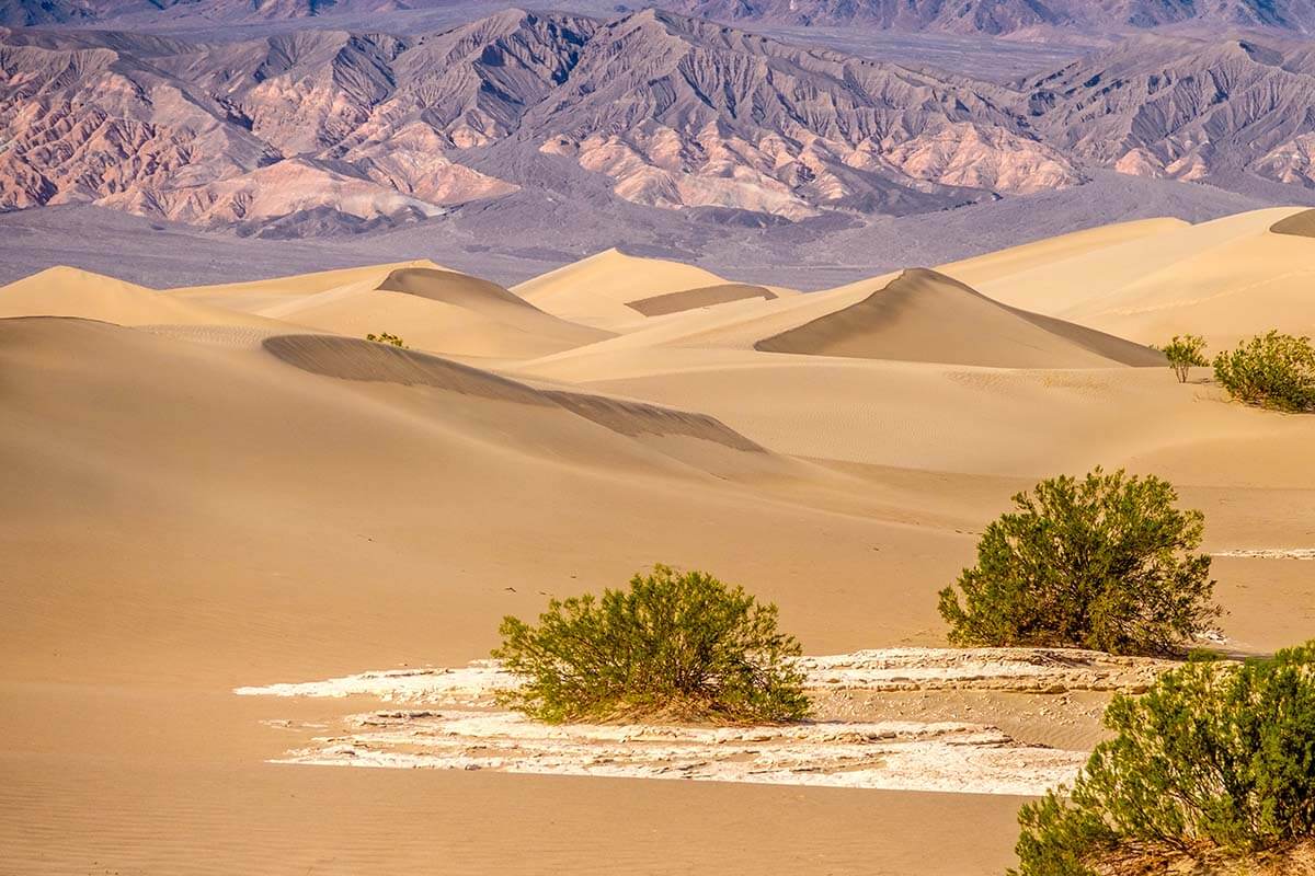 Mesquite Flat Dunes - one of the best places to see in Death Valley National Park