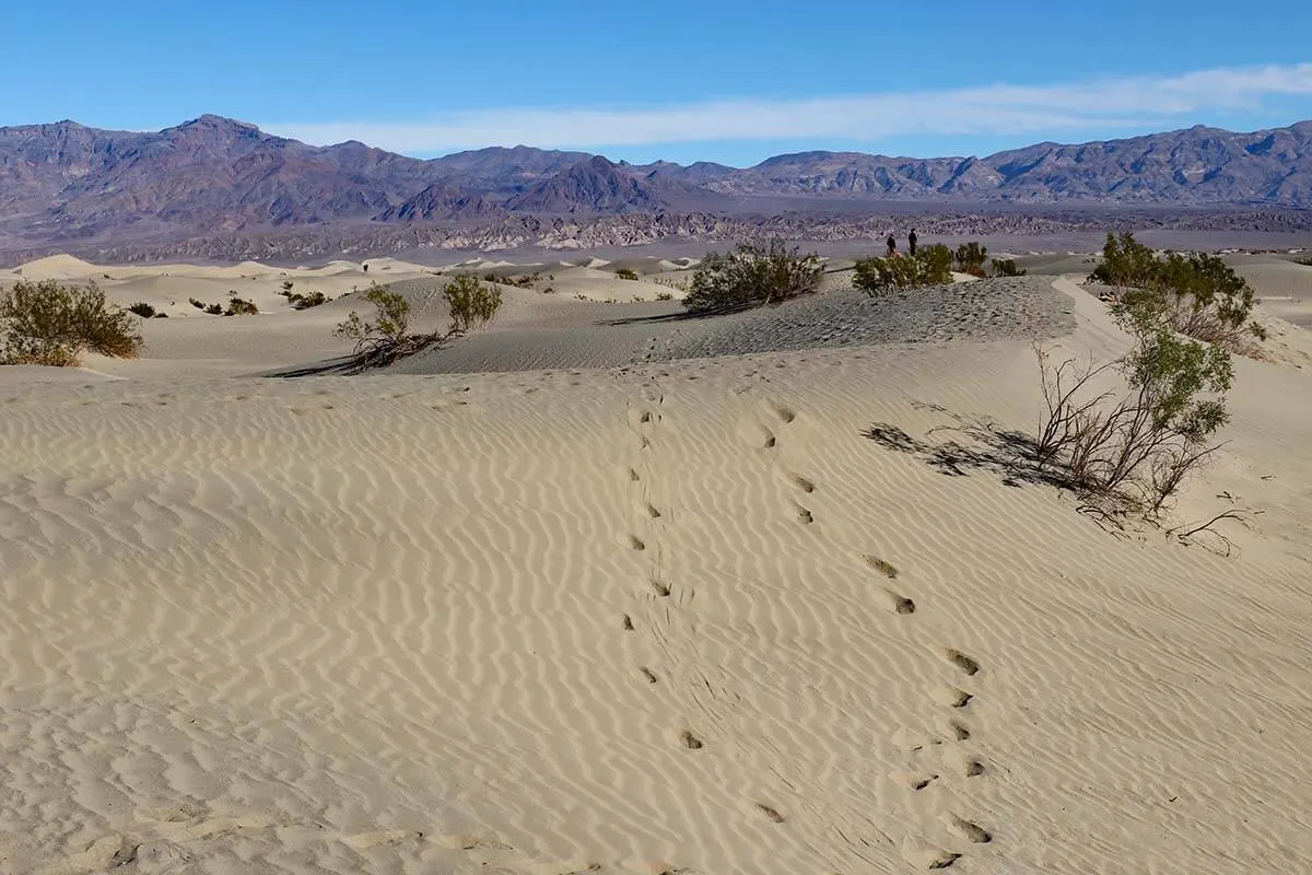 Mesquite Flat Sand Dunes, Death Valley NP