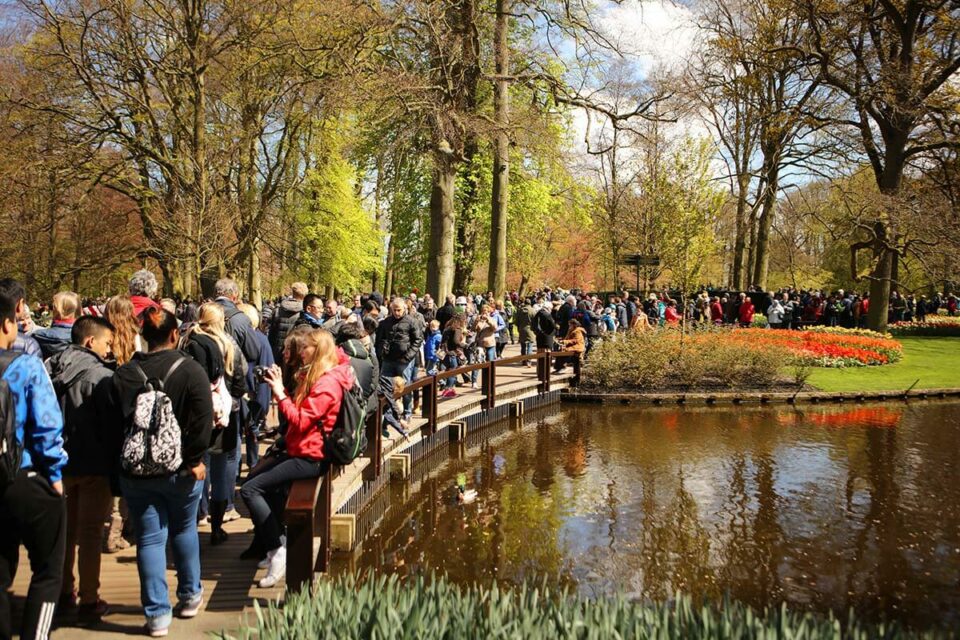 11 Tips & Tricks for Visiting Keukenhof Gardens (+ 2025 Info)