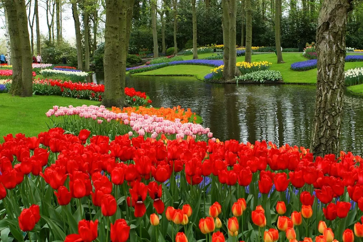 Keukenhof Gardens in Holland