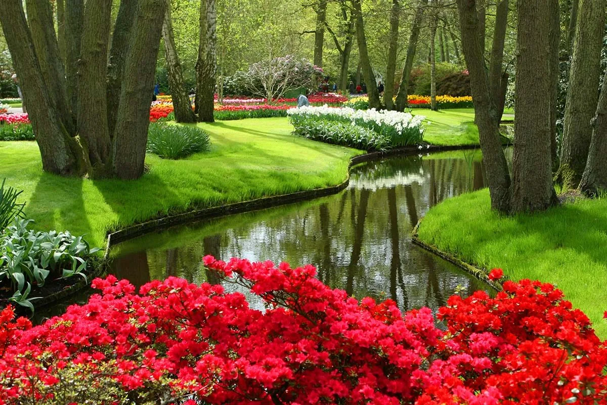 Keukenhof park in the morning