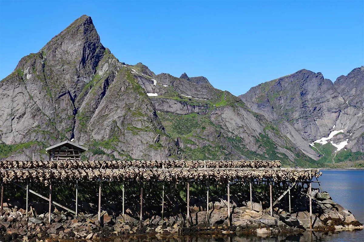 Fish drying racks in Lofoten Norway