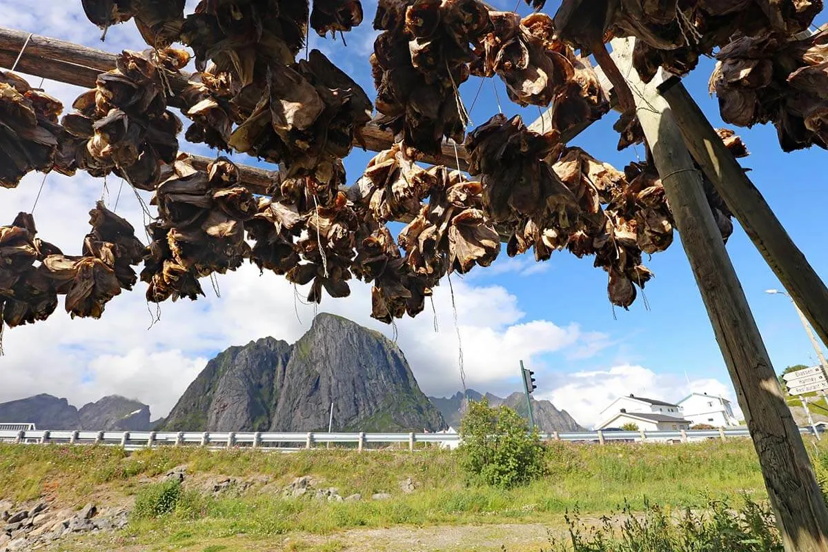 Lofoten fish drying racks