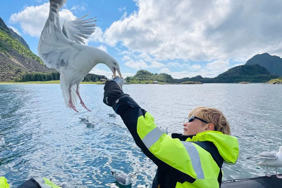 Trollfjord sea eagle safari in Lofoten - kids feeding seagulls
