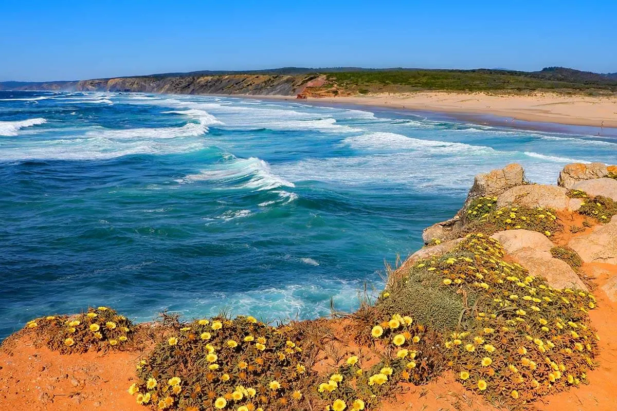 Algarve in April - Bordeira Beach and coastline with yellow flowers