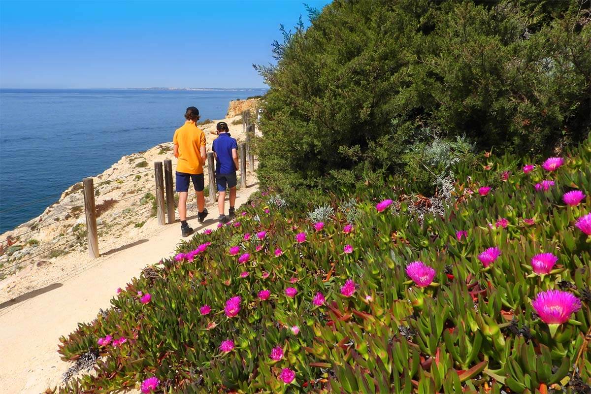 Hiking Algarve's Seven Hanging Valleys Trail in April (spring flowers next to the path)