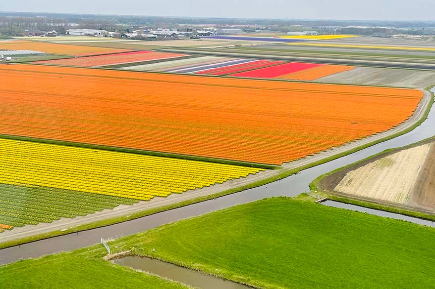 Lisse tulip fields helicopter tour
