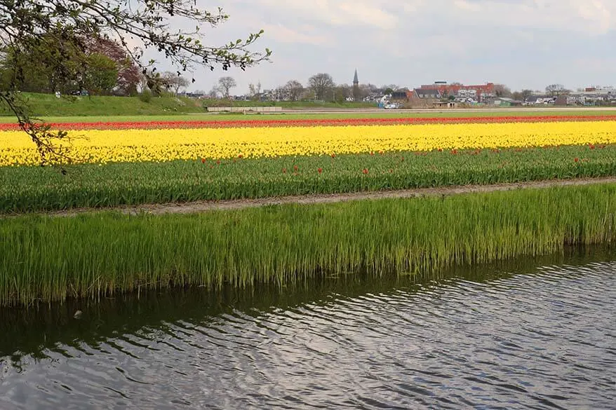 Best Time to See Wild Flowers in Norway 2024 - When to See 