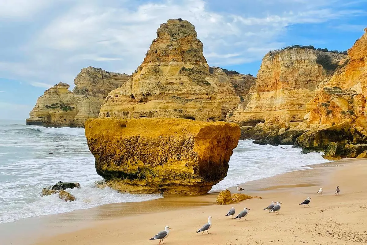 Seagulls and sea cliffs at Praia da Marinha Beach in Algarve Portugal