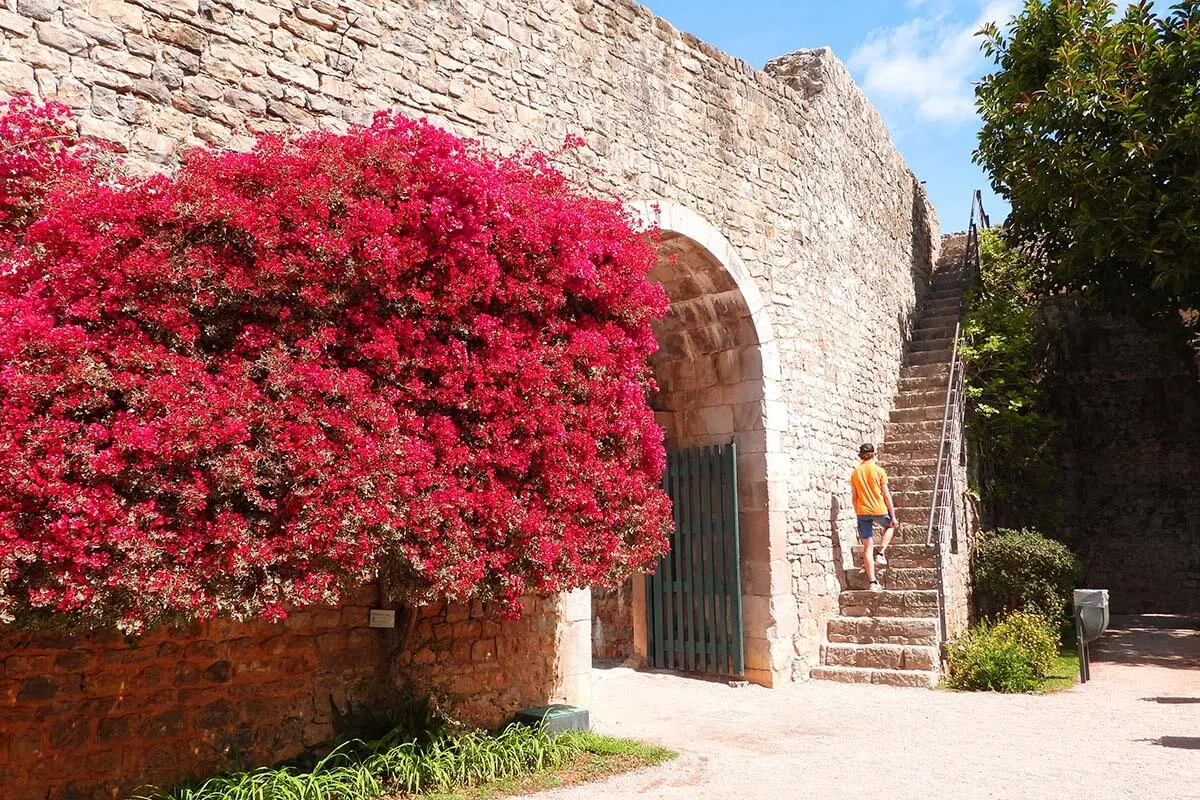 The gardens of Castelo de Tavira in April