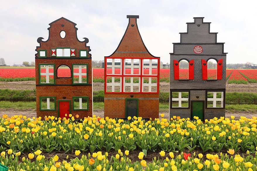Tulip Experience Amsterdam - Dutch houses and tulip fields