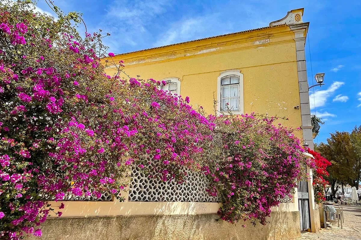 Tavira old town colorful buildings and spring flowers