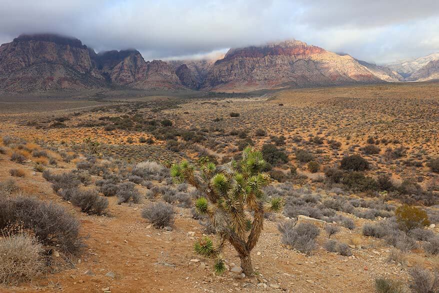 Red Rock Canyon - excursion from Las Vegas