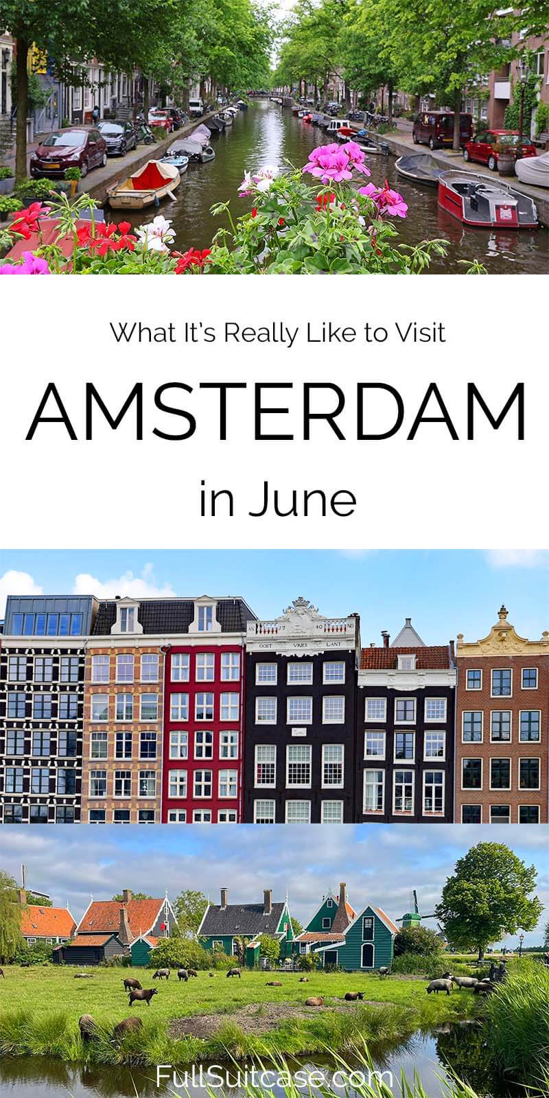 What it is really like to visit Amsterdam in the Netherlands in June