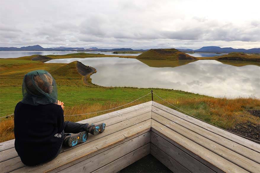 Boy wearing a mosquito headnet at Lake Myvatn in Iceland in summer