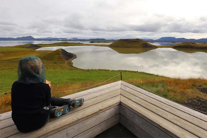 Boy wearing a mosquito headnet at Lake Myvatn in Iceland in summer