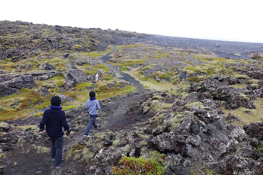 Hiking through lava fields in Iceland in summer