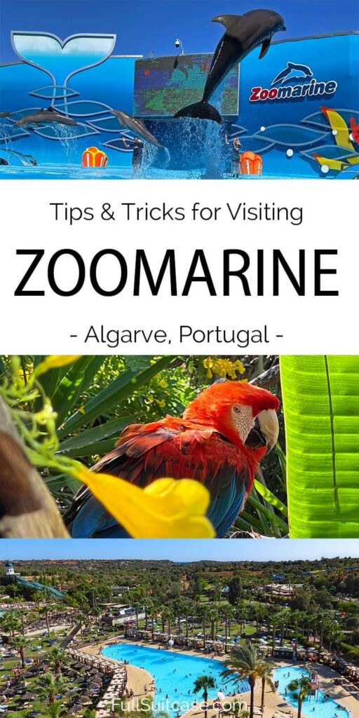 Zoomarine Algarve Review 11 Tips Tricks For Your First Visit zoomarine-algarve-review-11-tips-tricks-for-your-first-visit