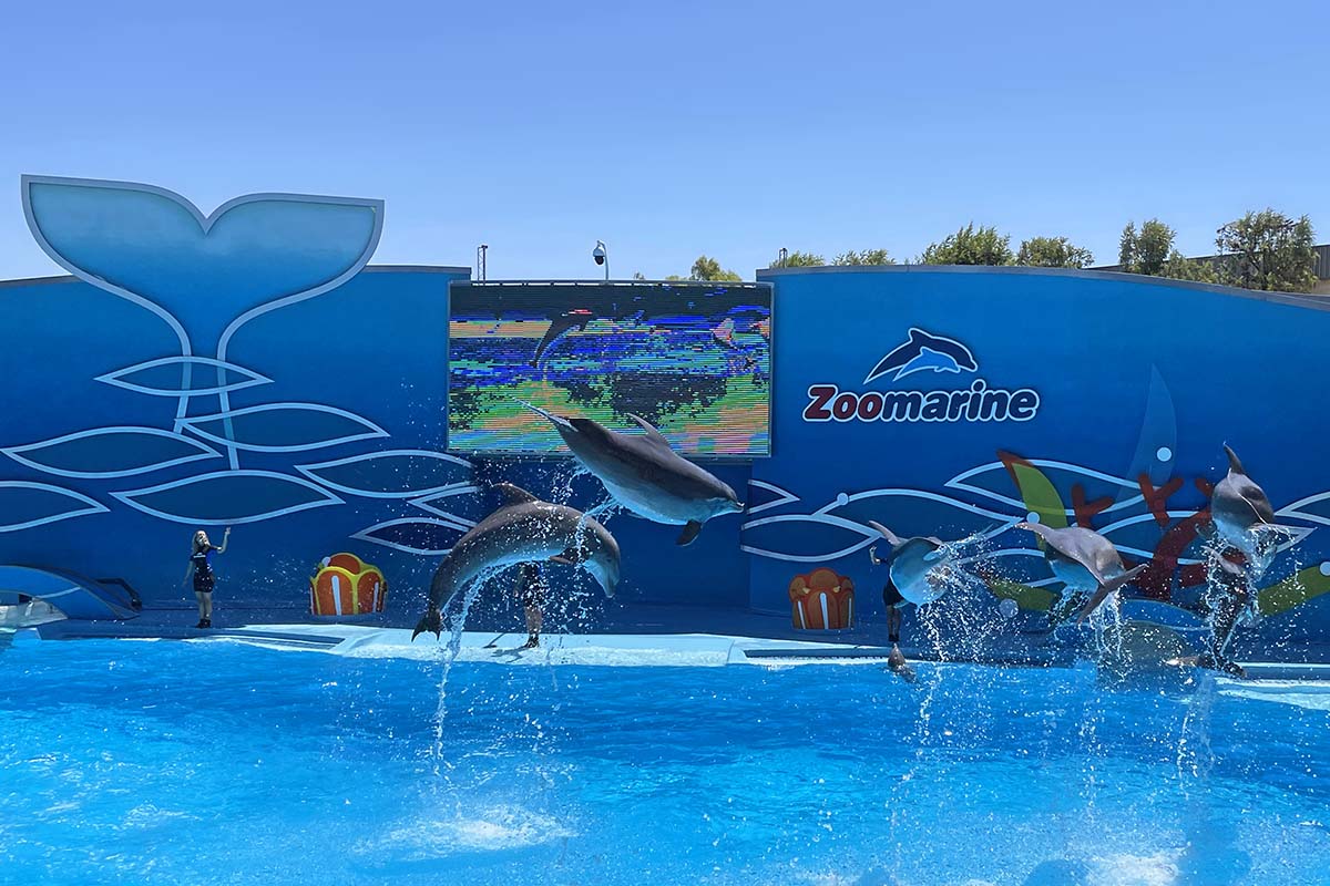 Zoomarine is one of the top attractions in Albufeira Portugal