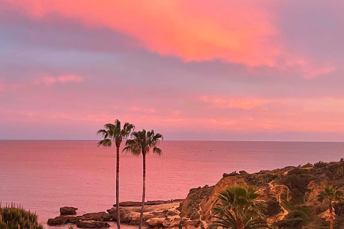 Pink sunset and palm trees on a beach in Algarve Portugal