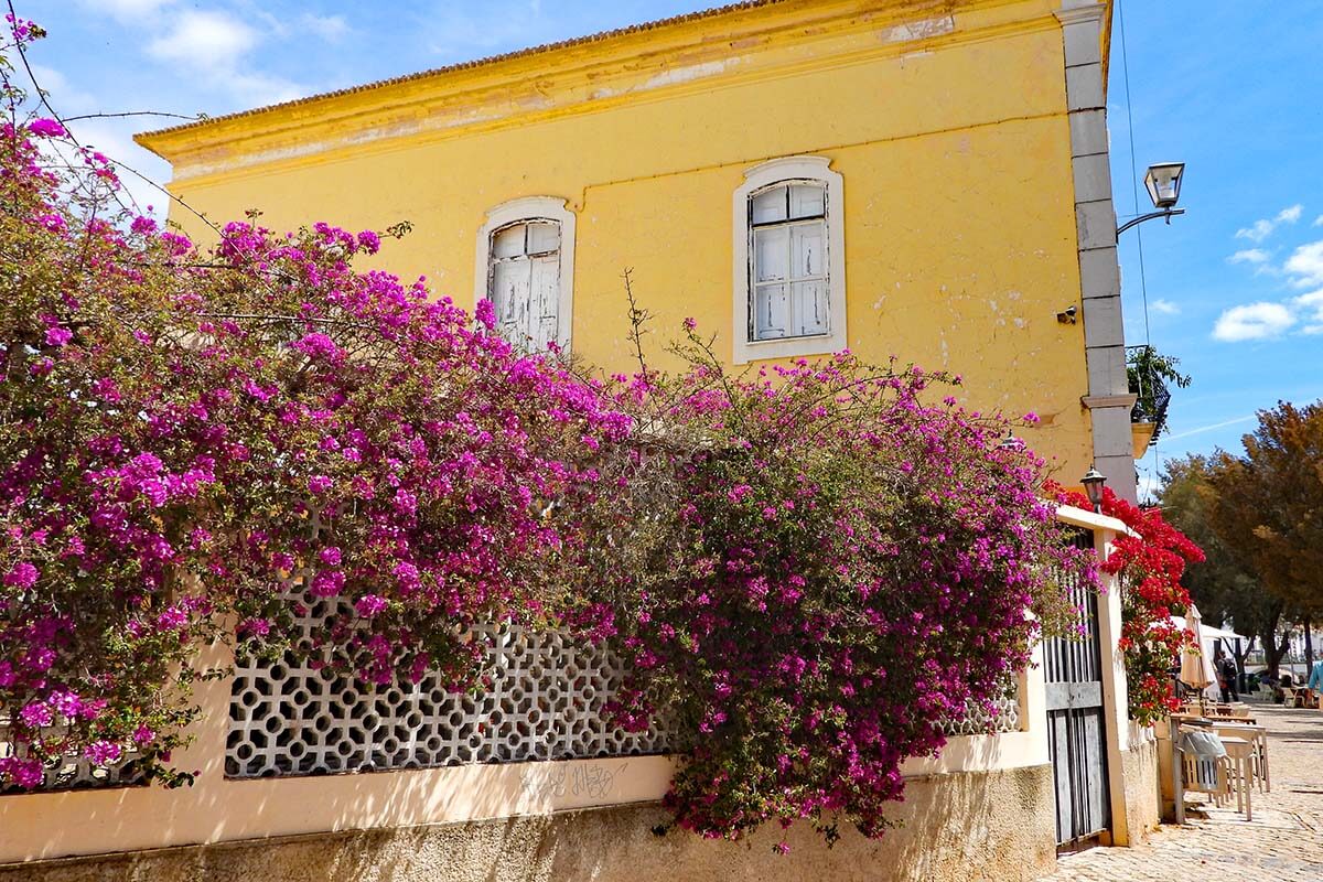 Spring flowers and colorful buildings in Tavira Portugal