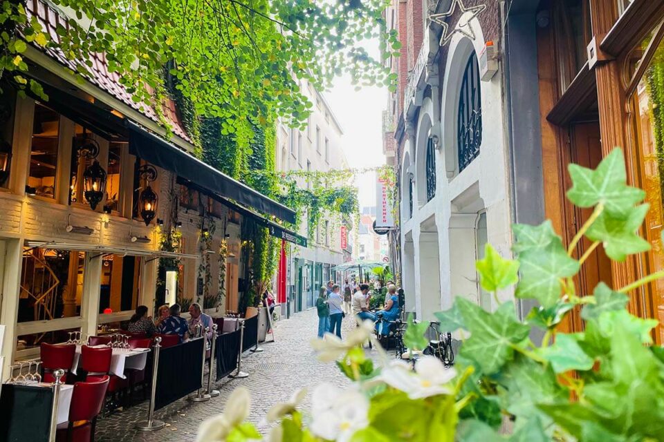 Where to Stay in Antwerp Best Areas, Hotels & Local's Tips