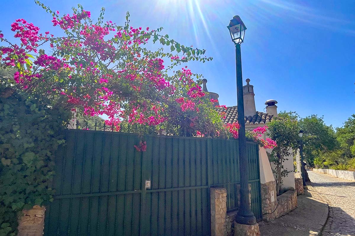 Colorful blossoms in the village of Alte in Algarve