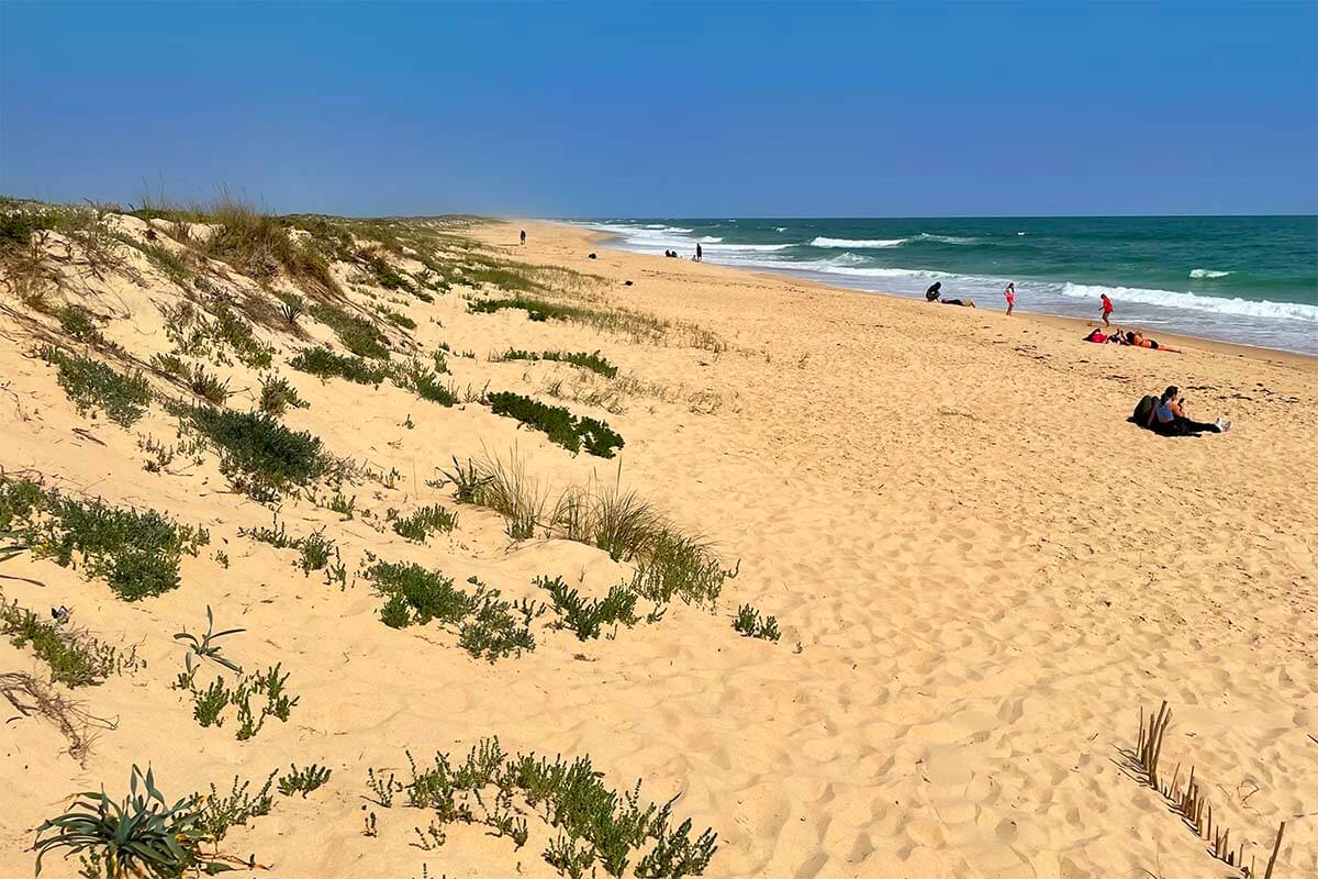 Culatra Island in Ria Formosa nature reserve near Faro Portugal