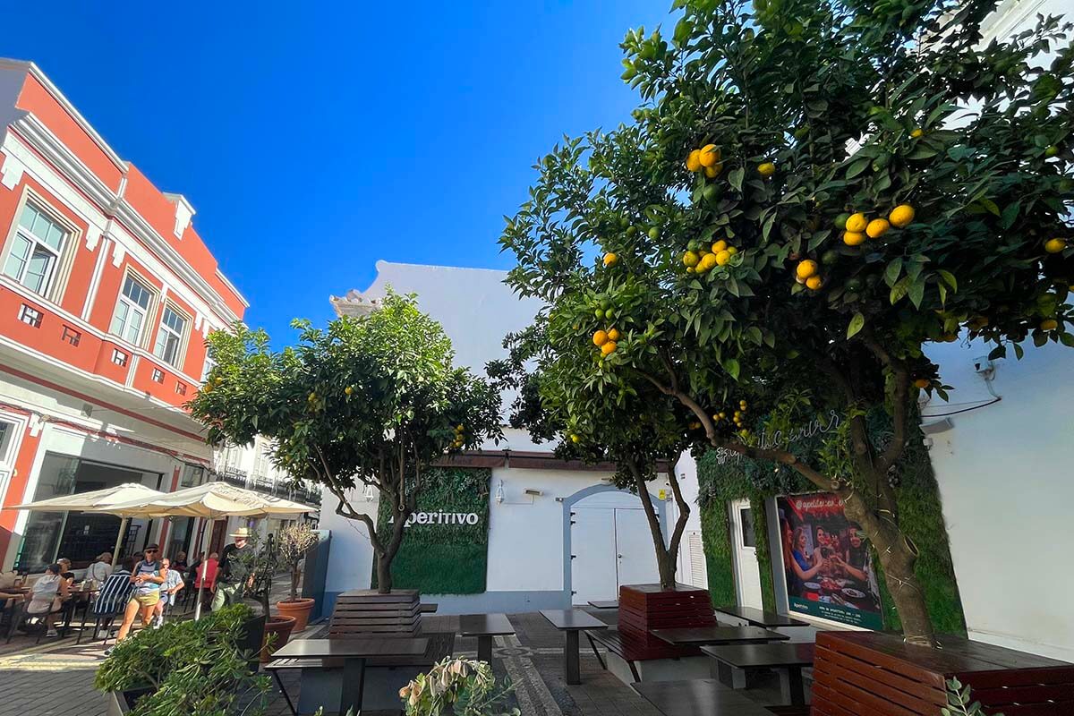 Calle del casco antiguo de Faro con naranjos y edificios coloridos