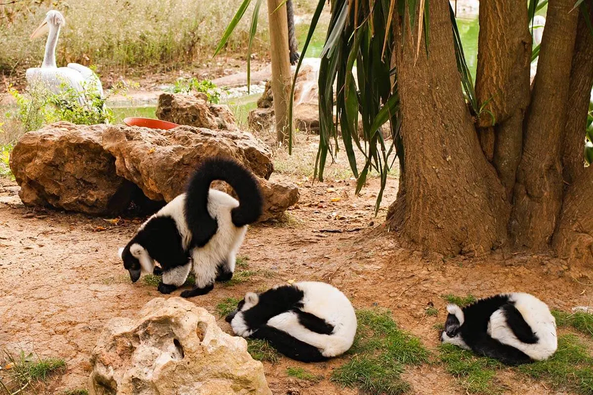 Lagos Zoo in Algarve Portugal