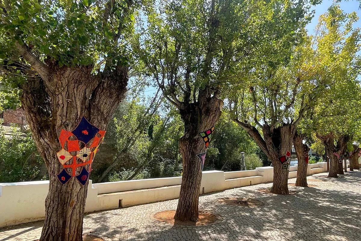 Trees at Fonte Pequena de Alte in Alte, Portugal