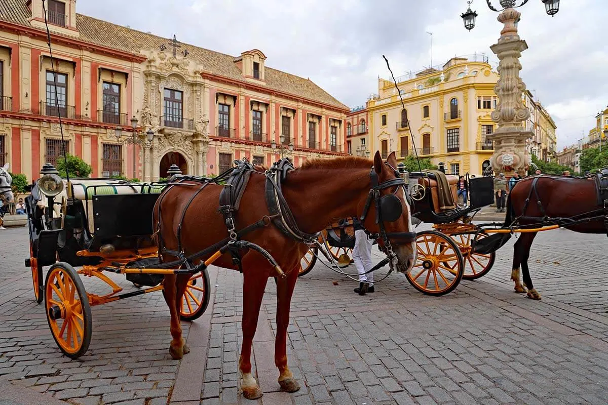 Caballo y carruaje en la Plaza del Triunfo en Sevilla España