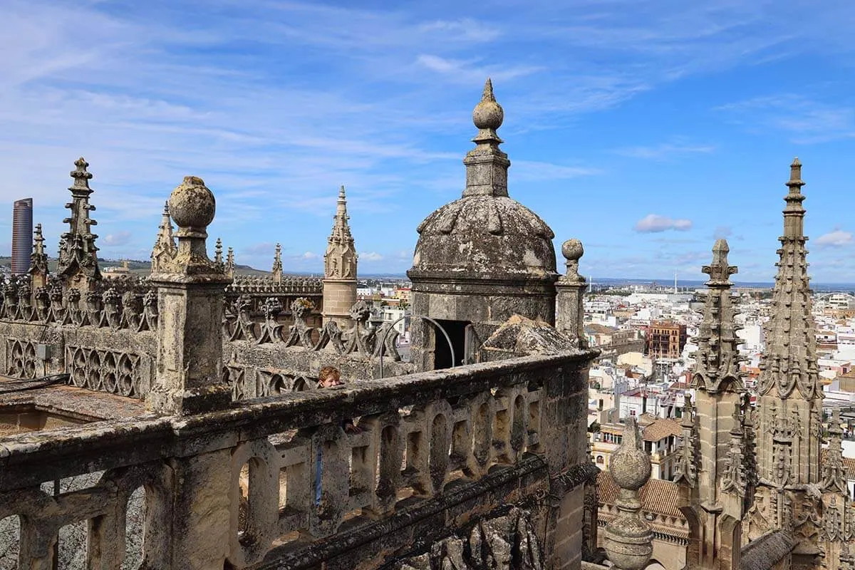 Seville Cathedral rooftops and city view