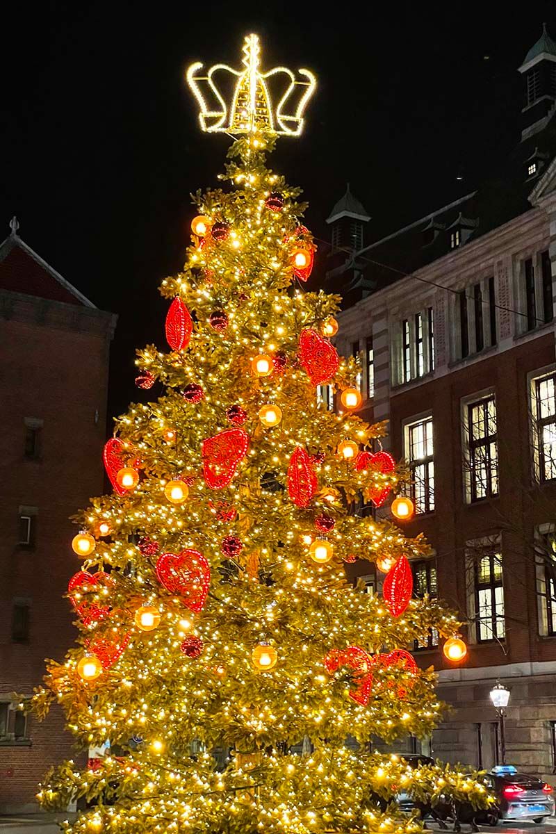 Amsterdam Christmas Tree on Beursplein on Damrak
