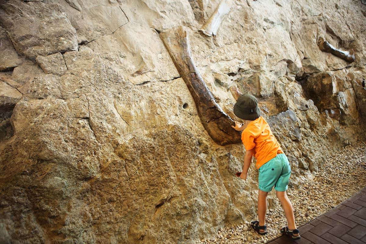 Kid touching real dinosaur bones at Dinosaur National Monument in Utah