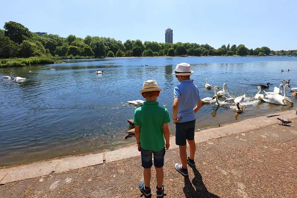 Kids watching birds at The Serpentine Lake in Hyde Park London