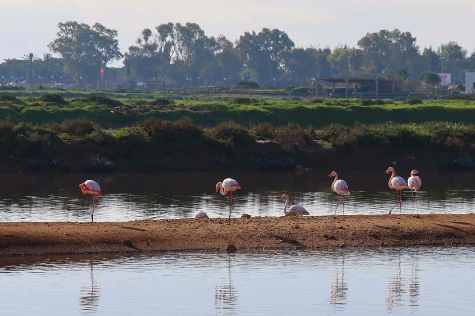 December weather in the algarve