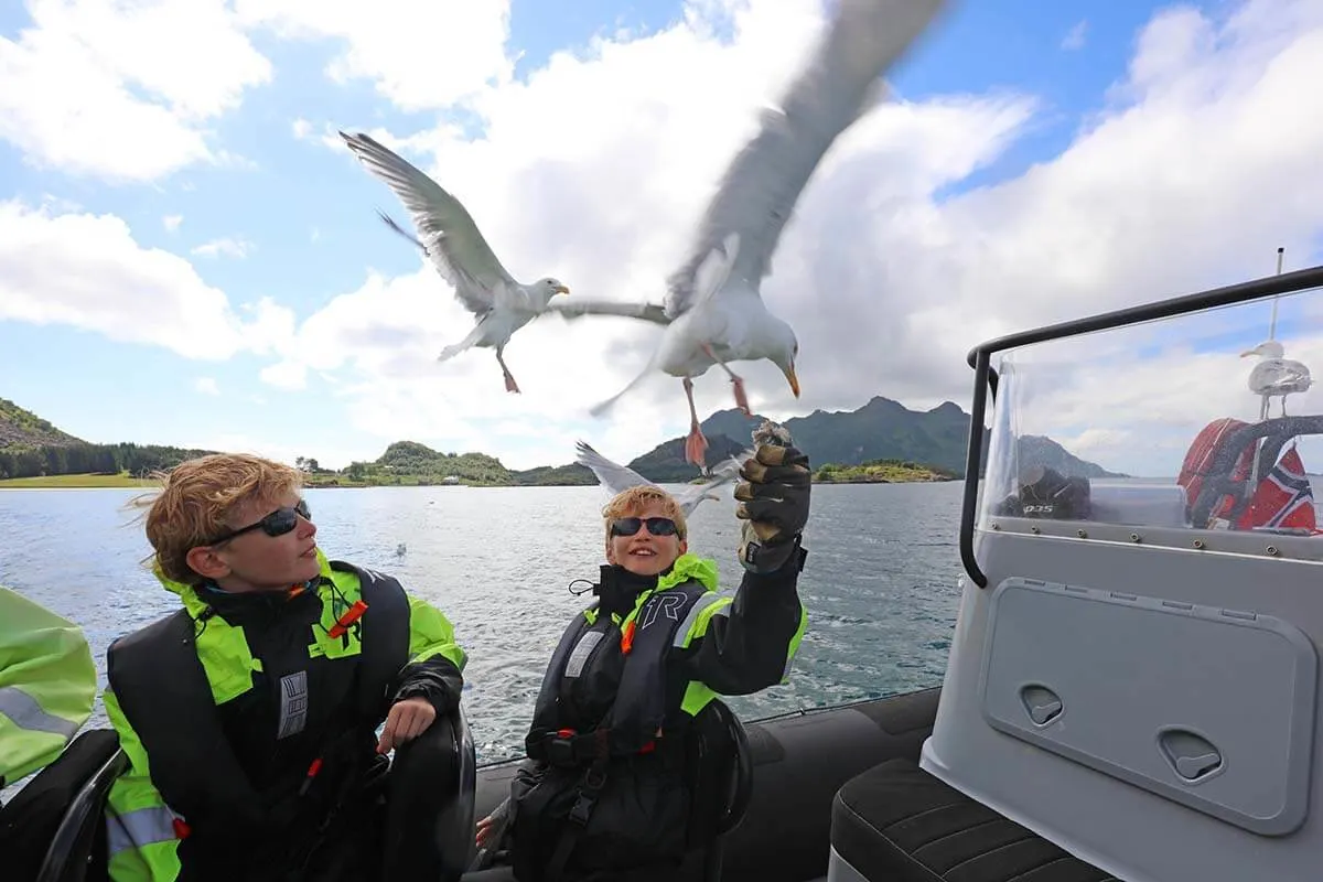 Kids with seagulls on Trollfjord sea eagle boat safari in Lofoten Norway