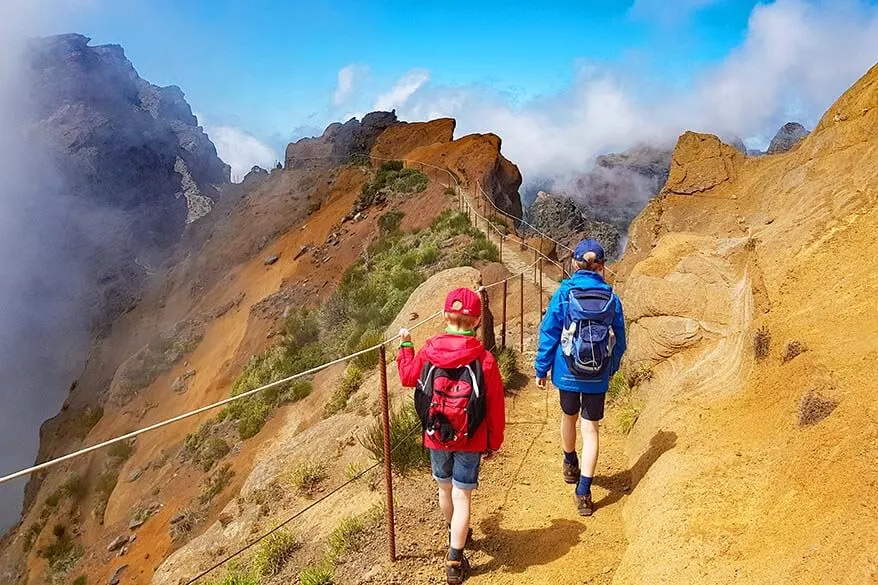 Kids with travel backpacks hiking in the mountains