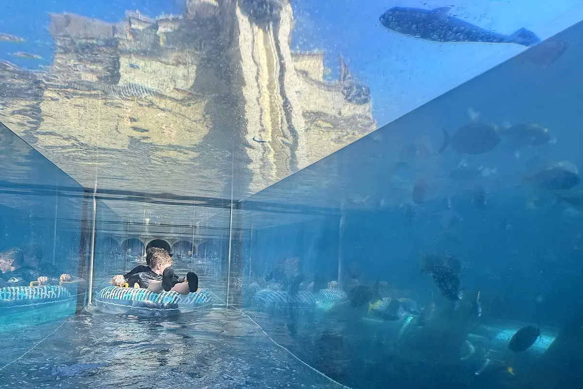 Shark Attack water attraction at Atlantis Aquaventure in Dubai