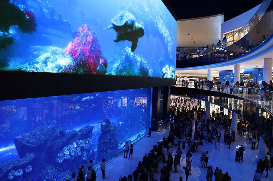 Dubai Mall Aquarium - interesting facts about Dubai