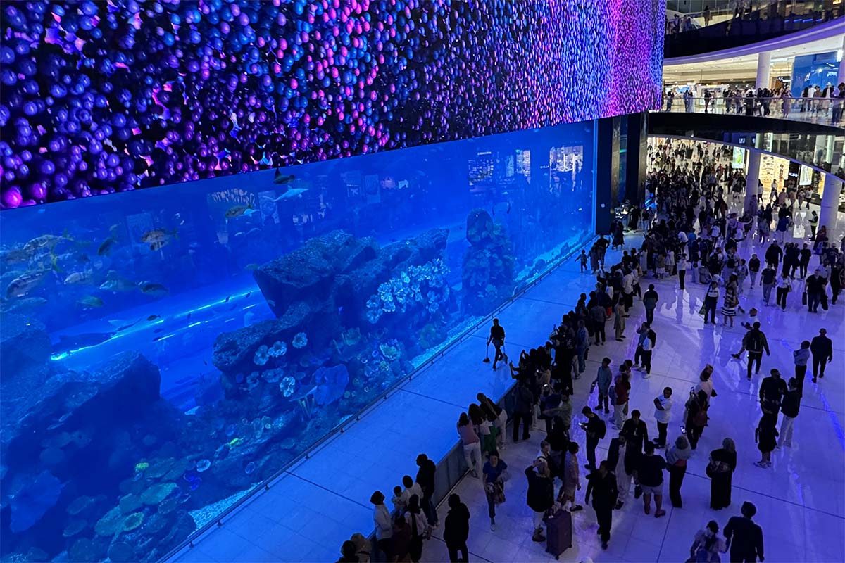 Dubai Mall and Aquarium
