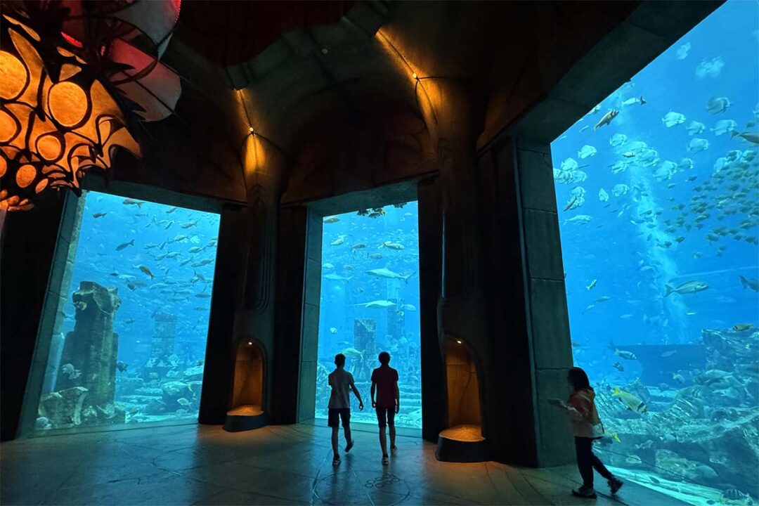 11-tips-tricks-for-aquaventure-world-waterpark-in-dubai-2026