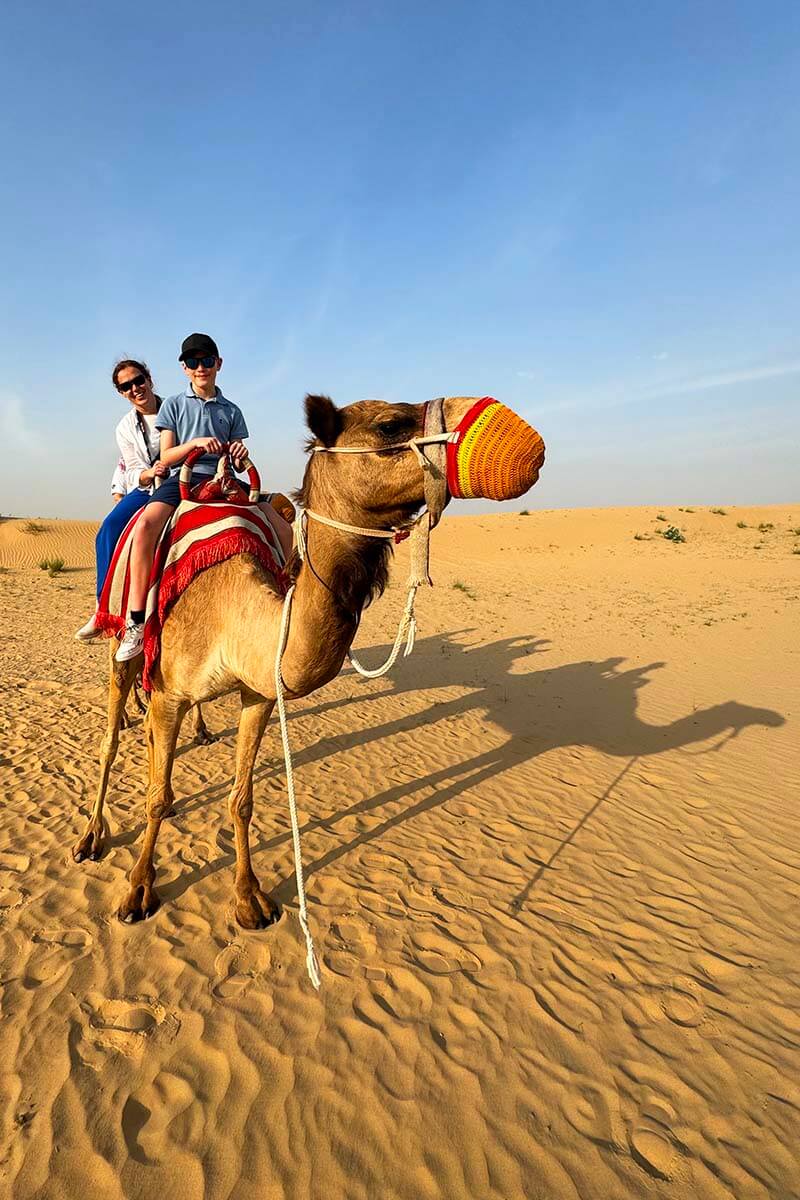 Dubai in February - camel riding tour in the UAE desert