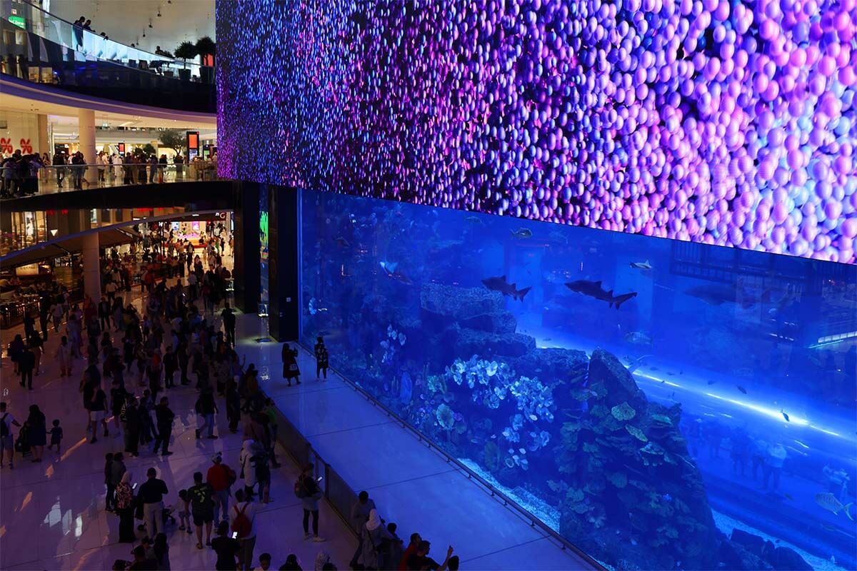 Gigantic aquarium at Dubai Mall, Dubai UAE