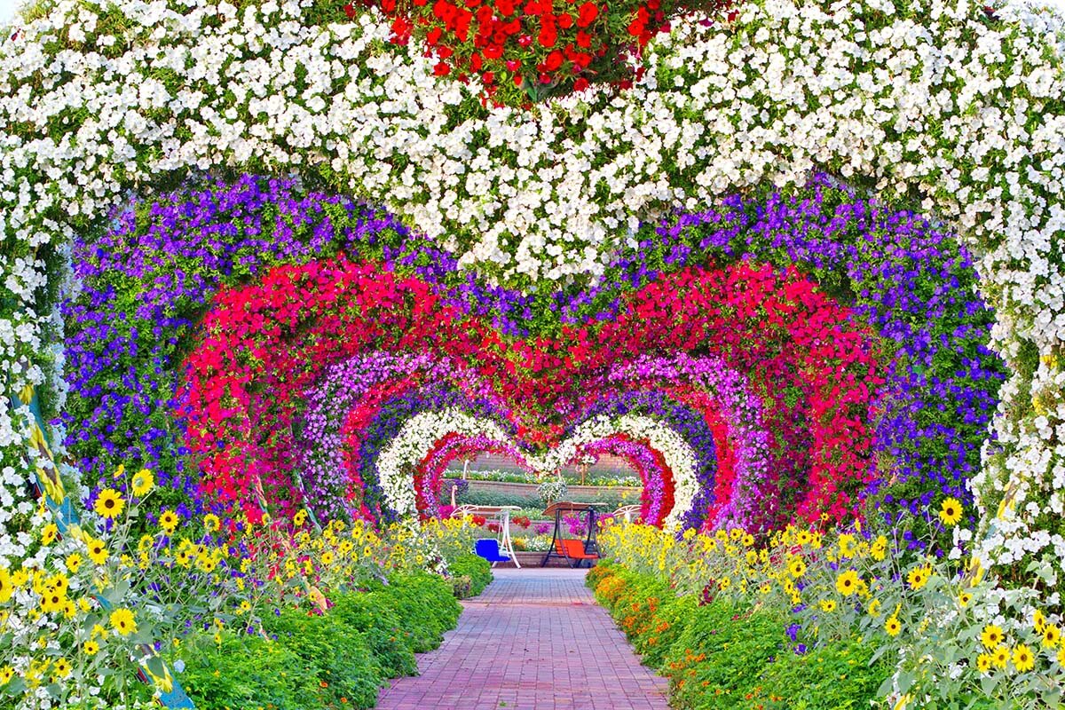 Miracle Garden - best things to do in Dubai