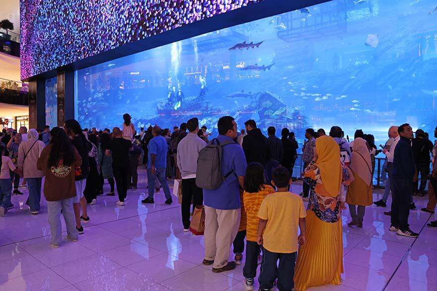People at the Dubai Mall Aquarium
