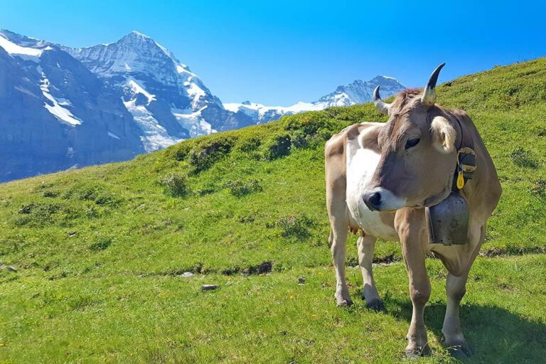 Switzerland itinerary for 10 days trip